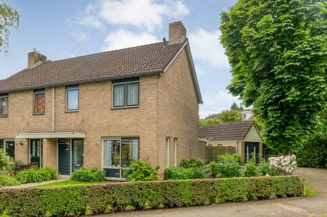 Reigerstraat thumbnail