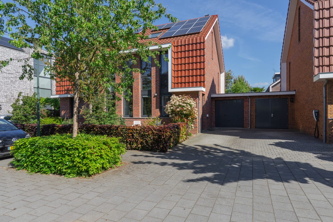 Foto 1 van Kikkerbeet 9