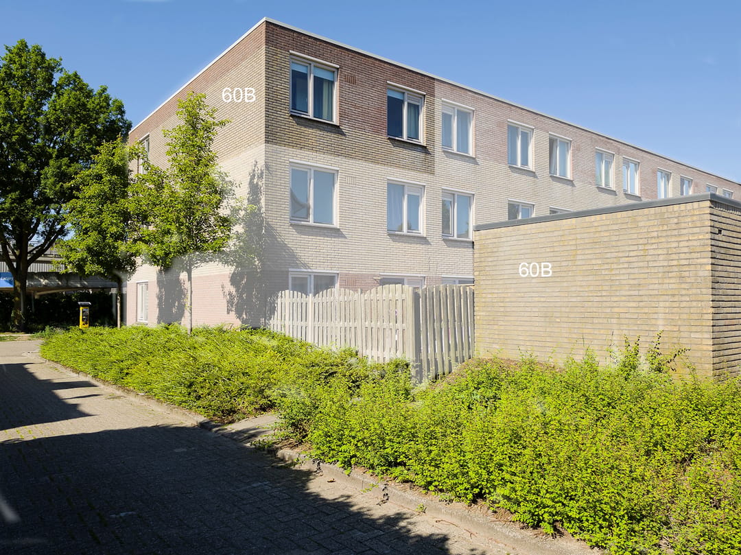 Foto 52 van Hoge Bothofstraat 60-B