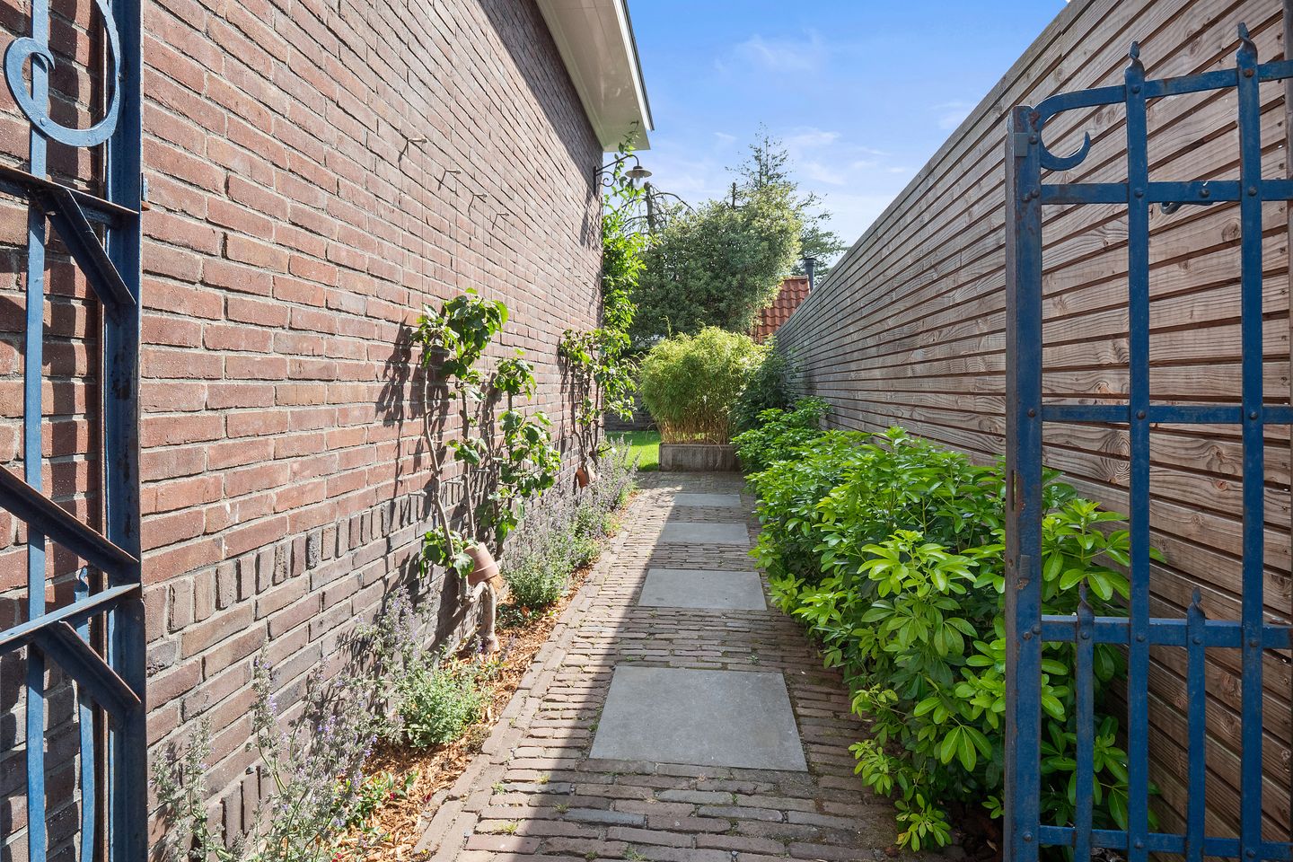 Foto 50 van Victorialaan 6