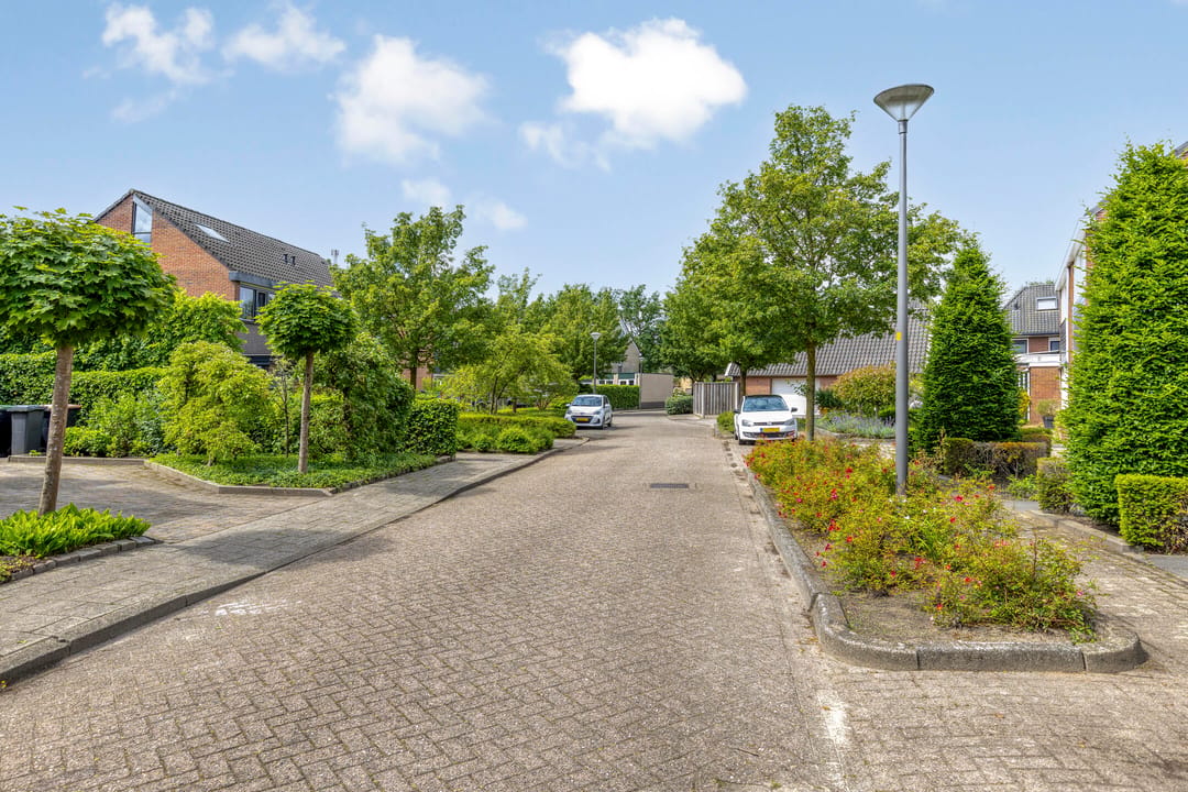 Photo 31 of Gentiaan 31