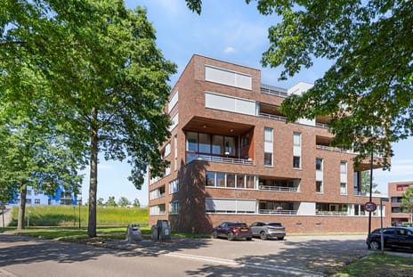 Mahoniehout thumbnail