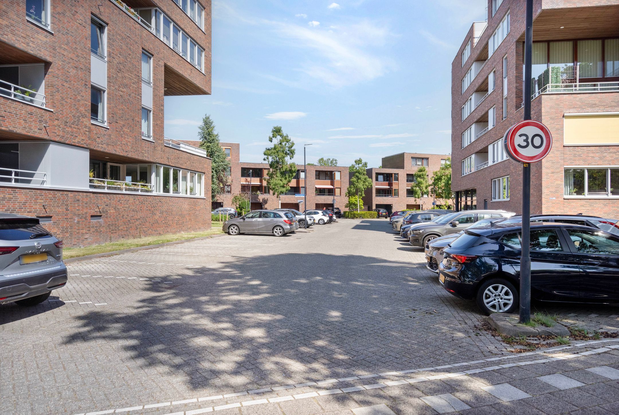 Foto 48 van Mahoniehout 17