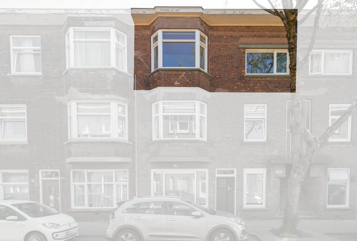 Foto 5 van Drijfriemstraat 14