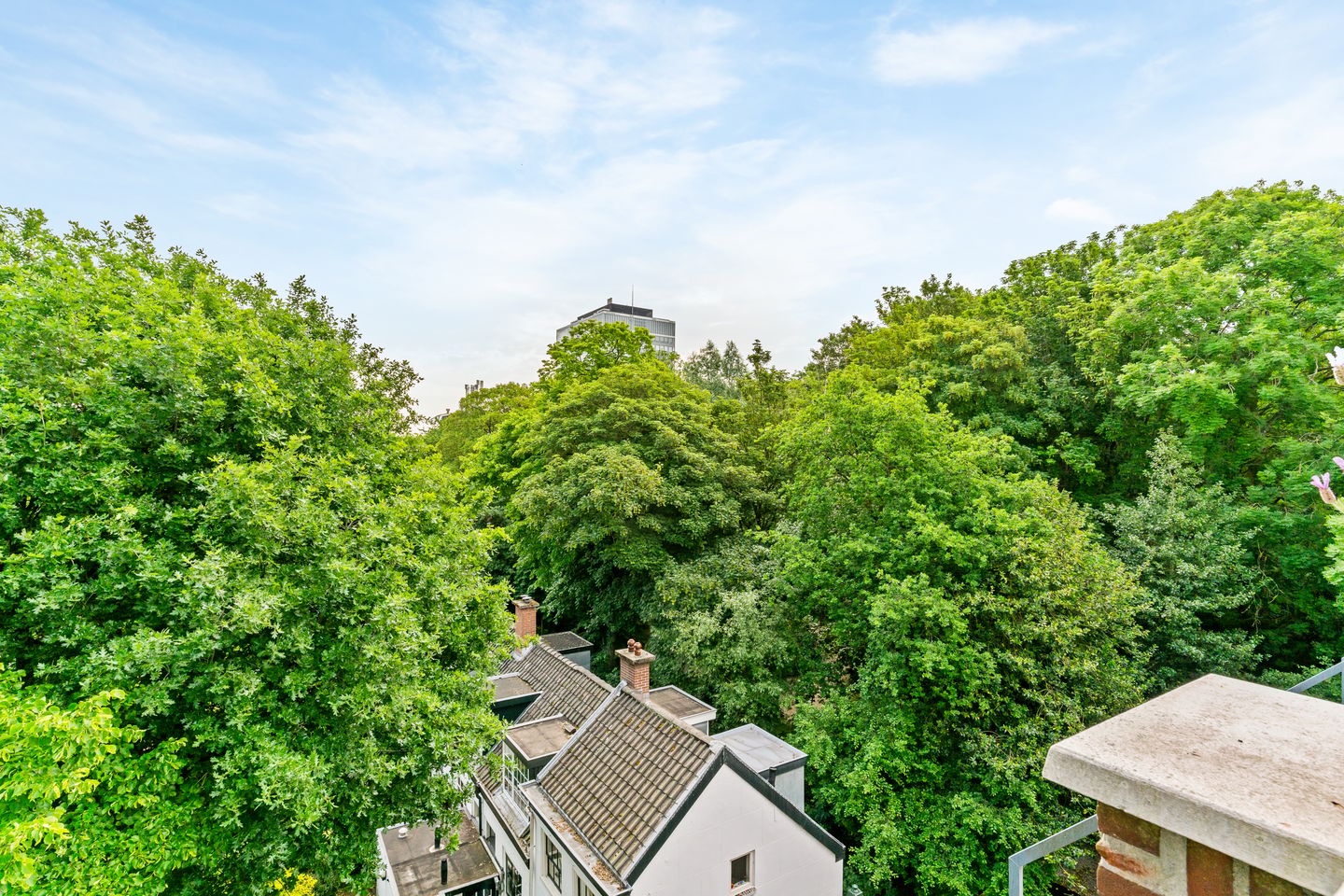 Photo 20 of Frederikstraat 769