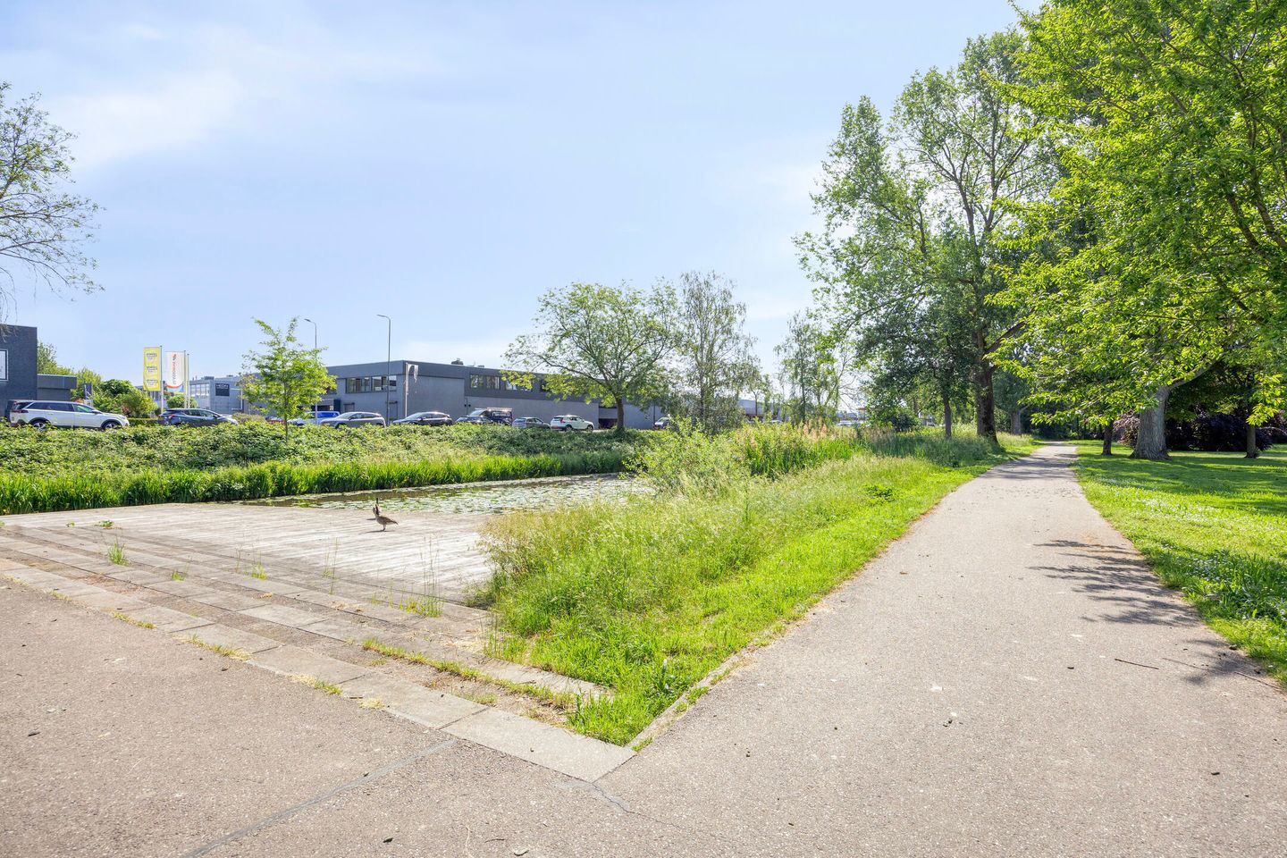 Foto 40 van Zwollestraat 18