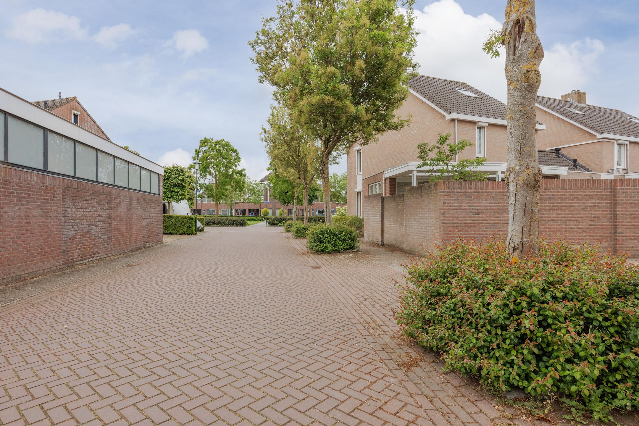 Photo 39 of Struikheide 17