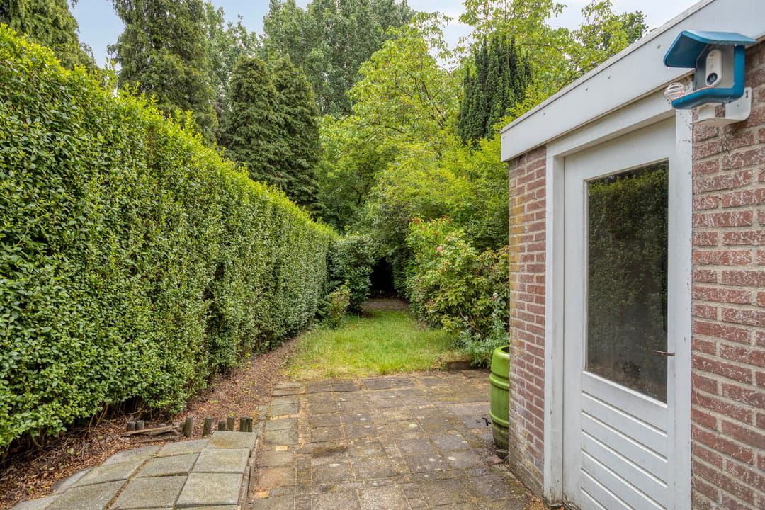 Photo 31 of Hintham 113
