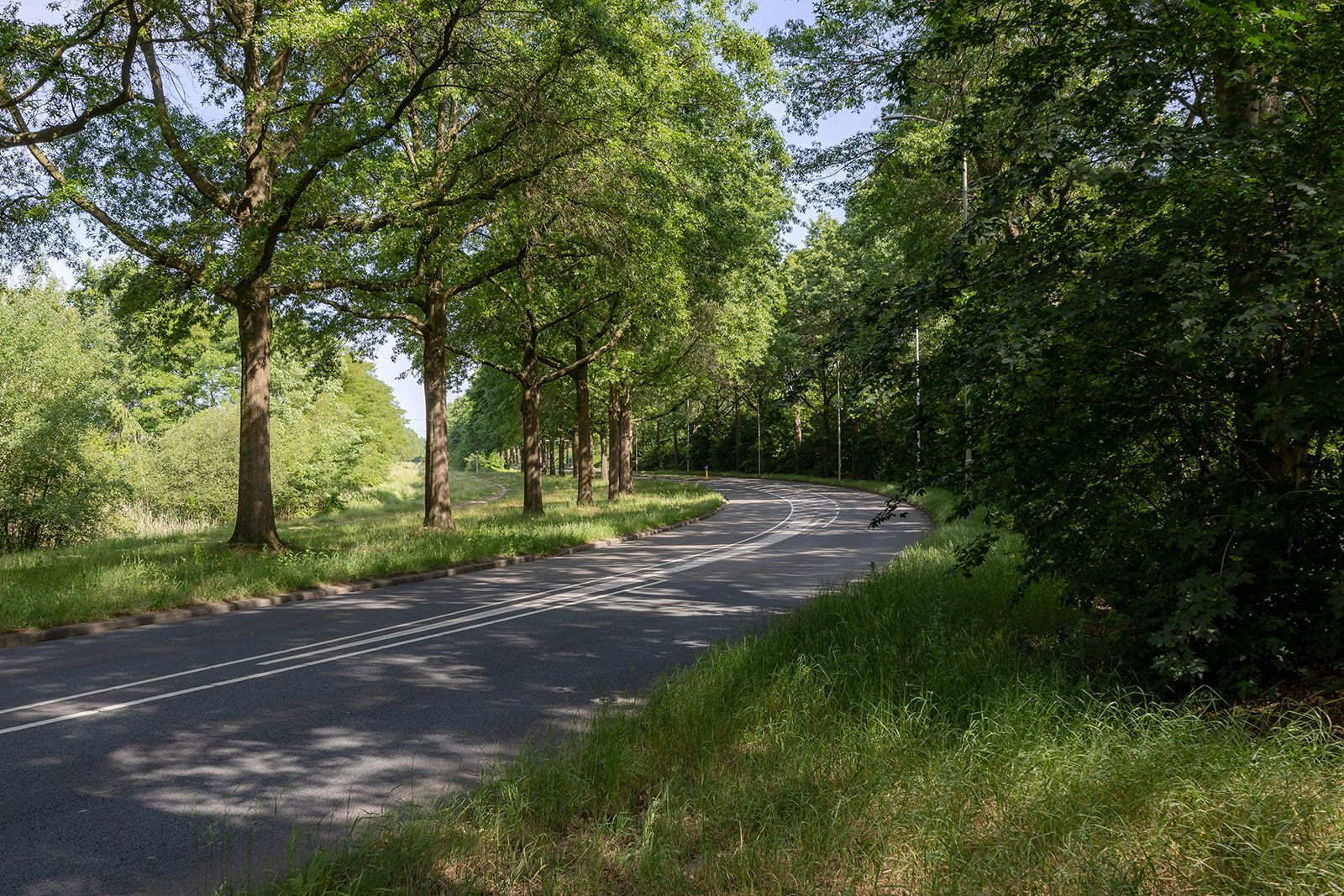 Foto 45 van Weegbree 91