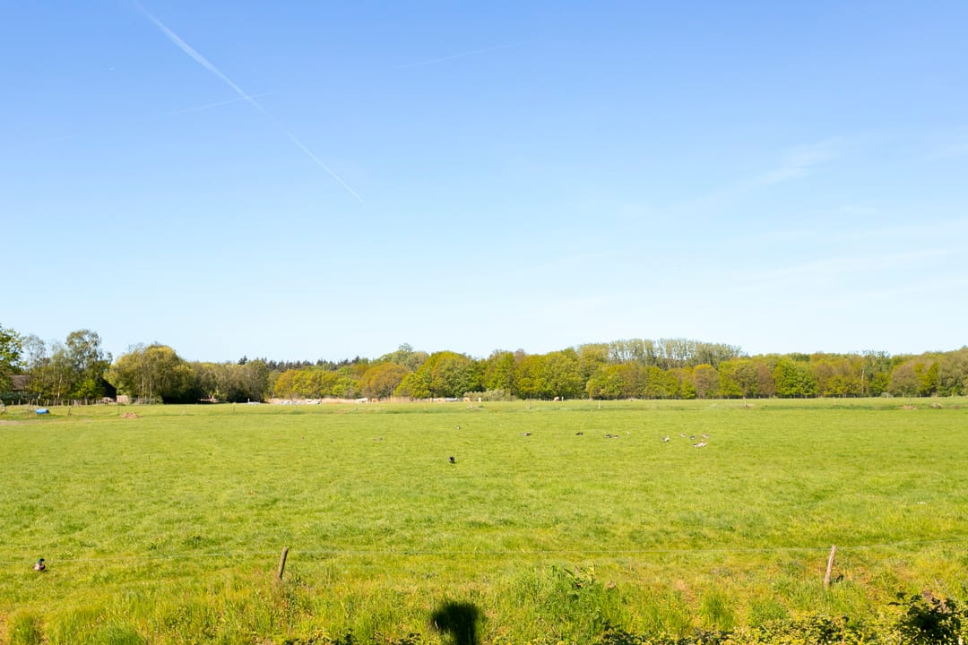 Photo 56 of Vinkenbos 41
