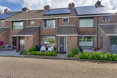 Pijlstaart thumbnail
