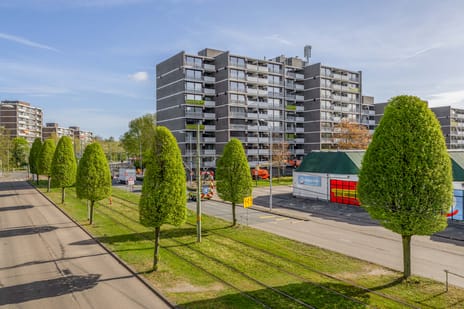 Klaverweide thumbnail