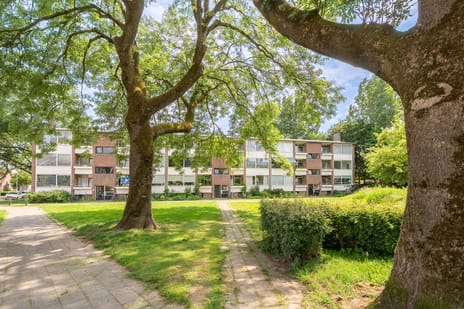 Bernhardstraat thumbnail