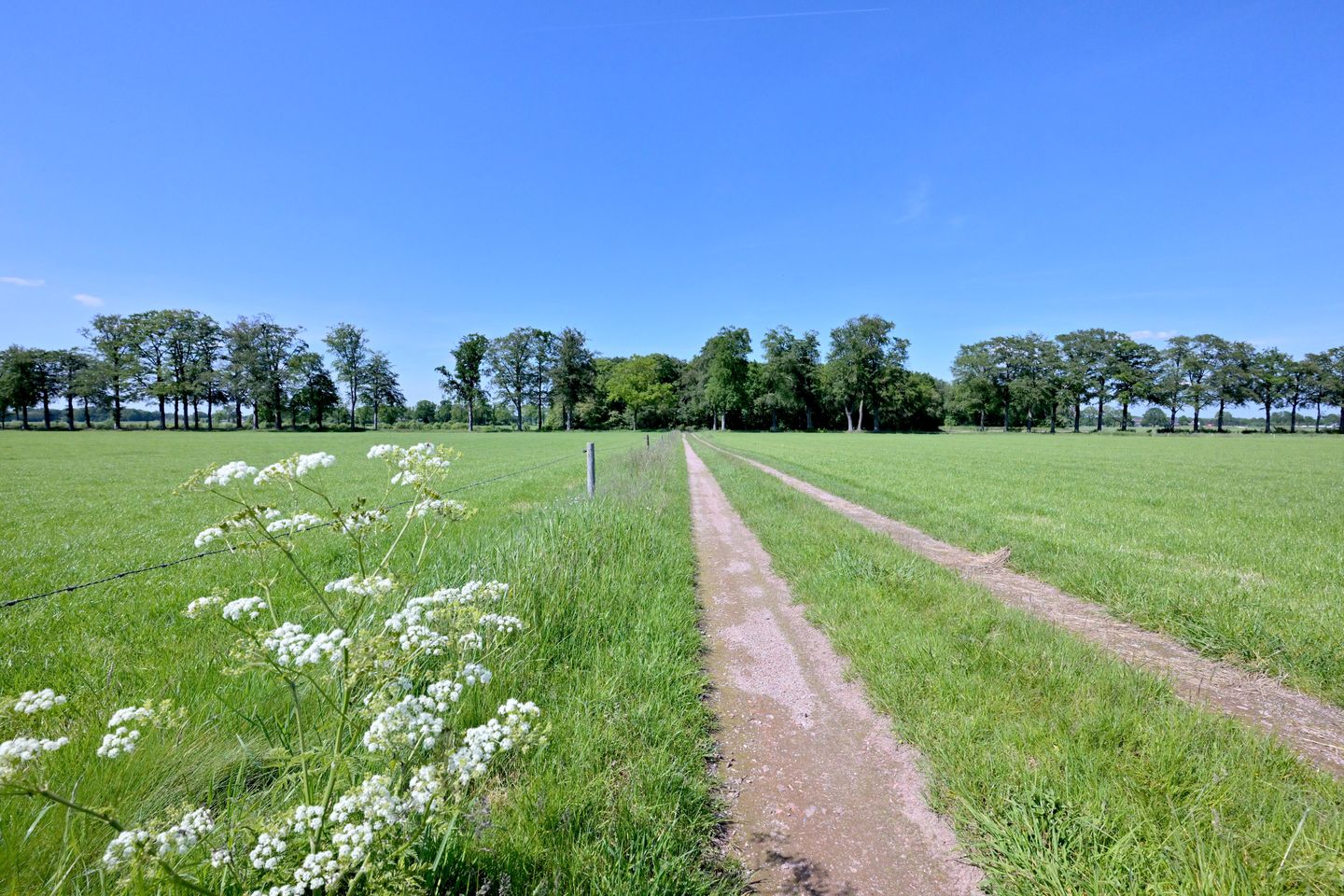 Photo 35 of Kasteelweg 18