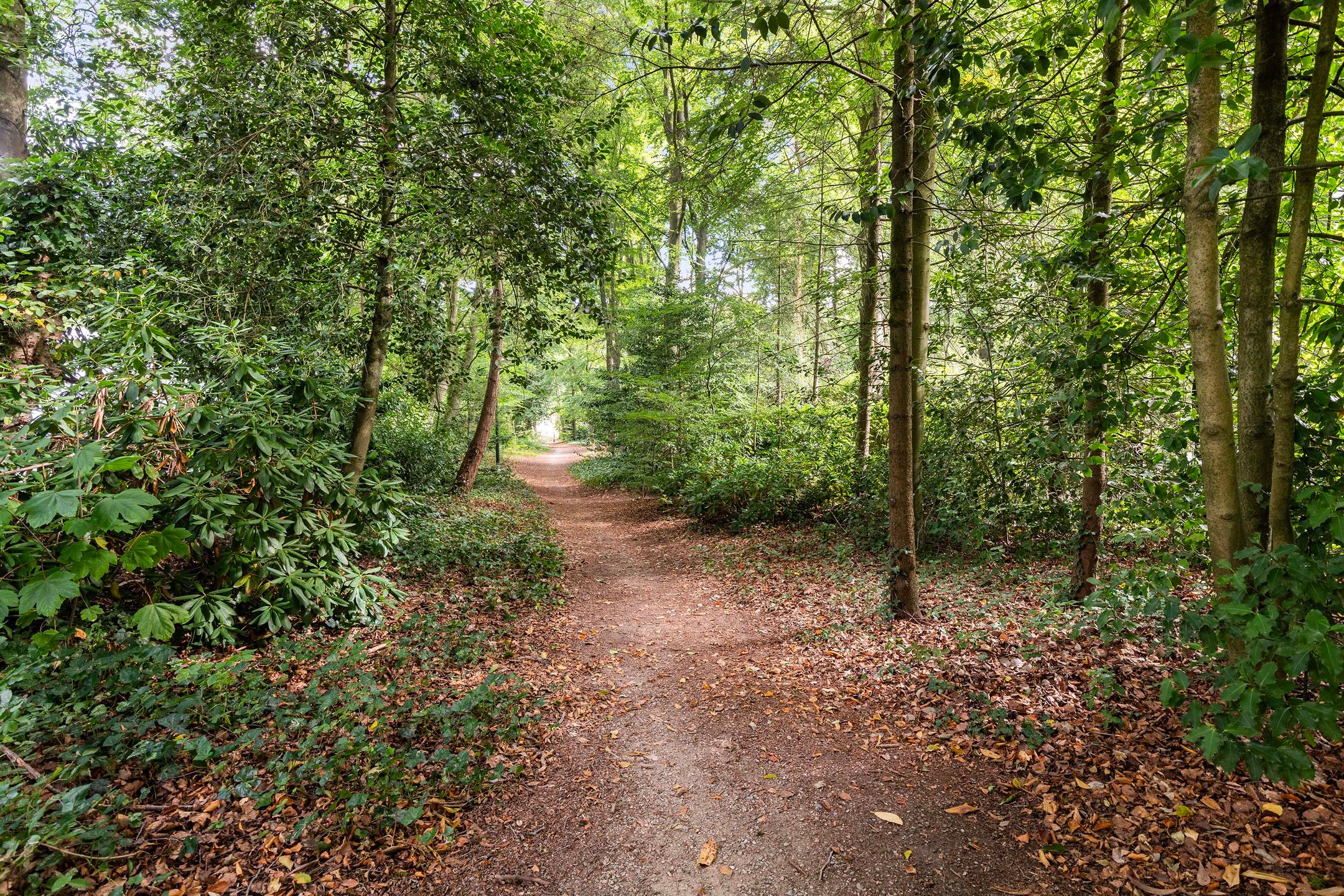 Foto 48 van Magnolialaan 8