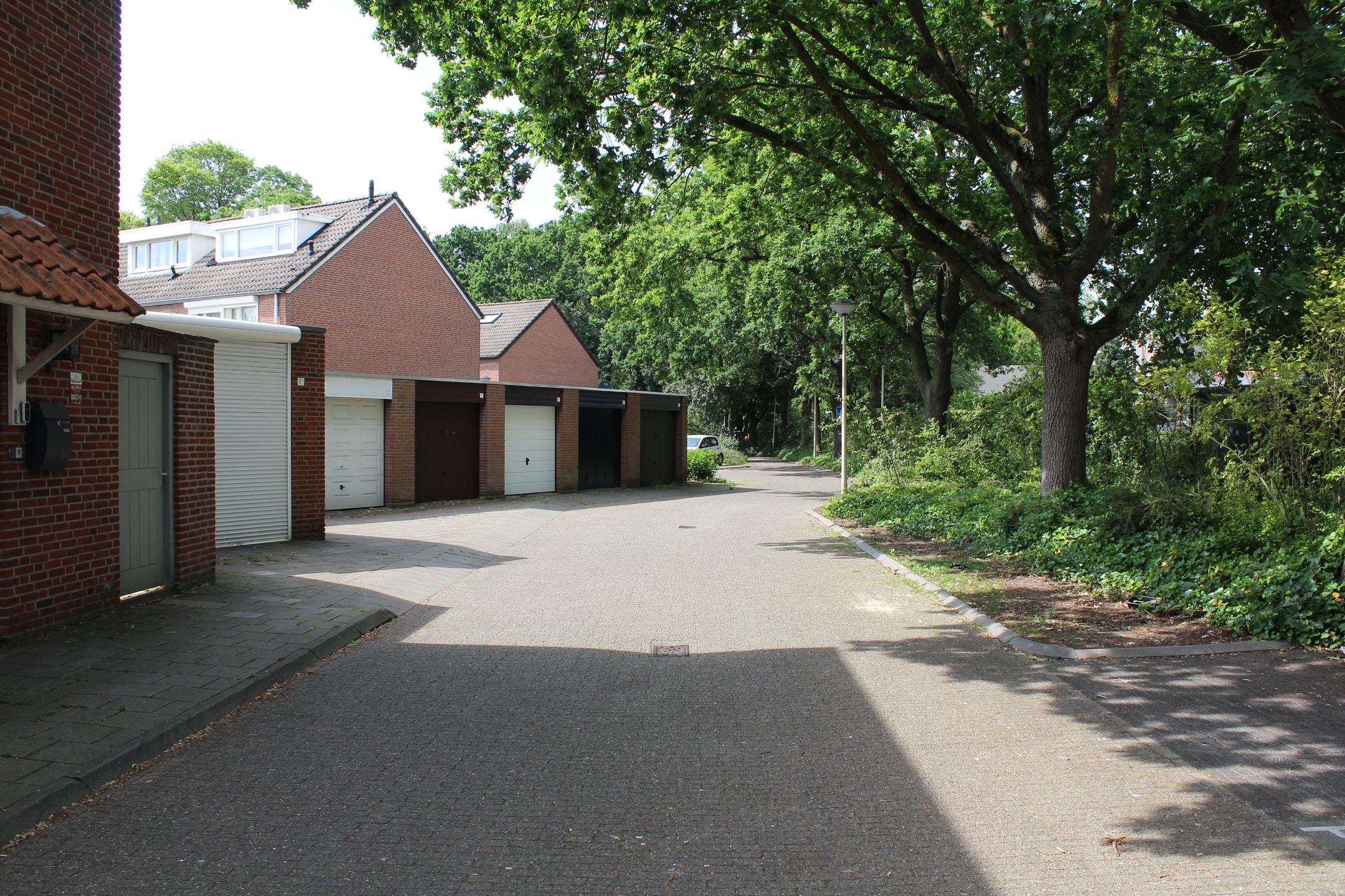 Photo 6 of Langeveld 1