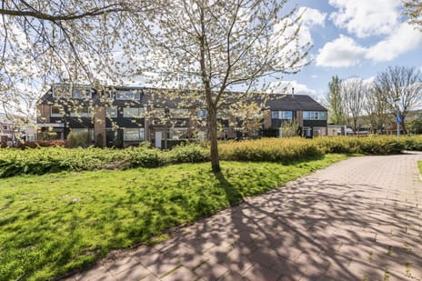 Noppenstraat thumbnail