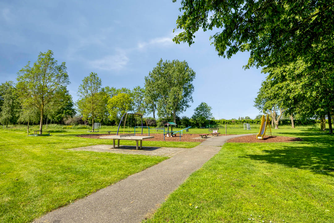 Photo 32 of Wilgenoord 43