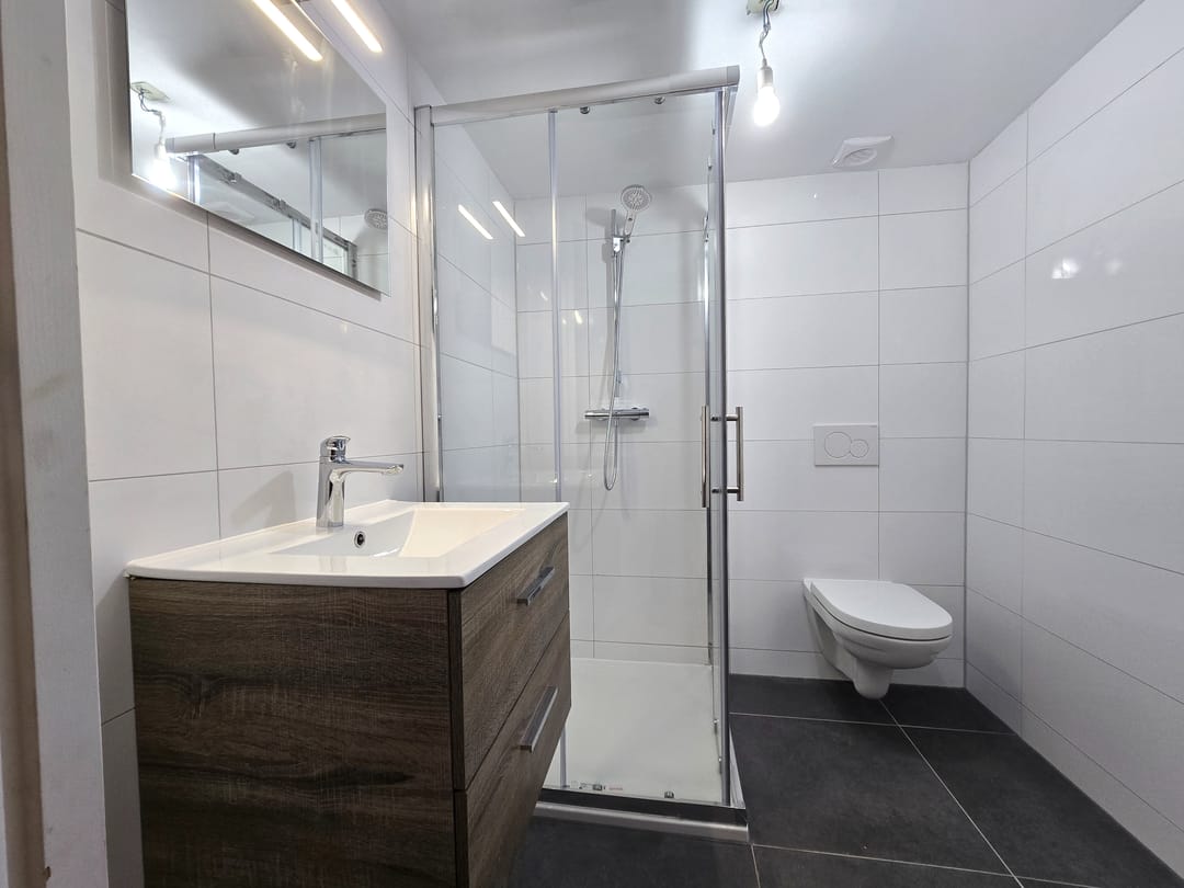 Multifunctional Property with Commercial Space and Separate Apartment in Heerlen — 31