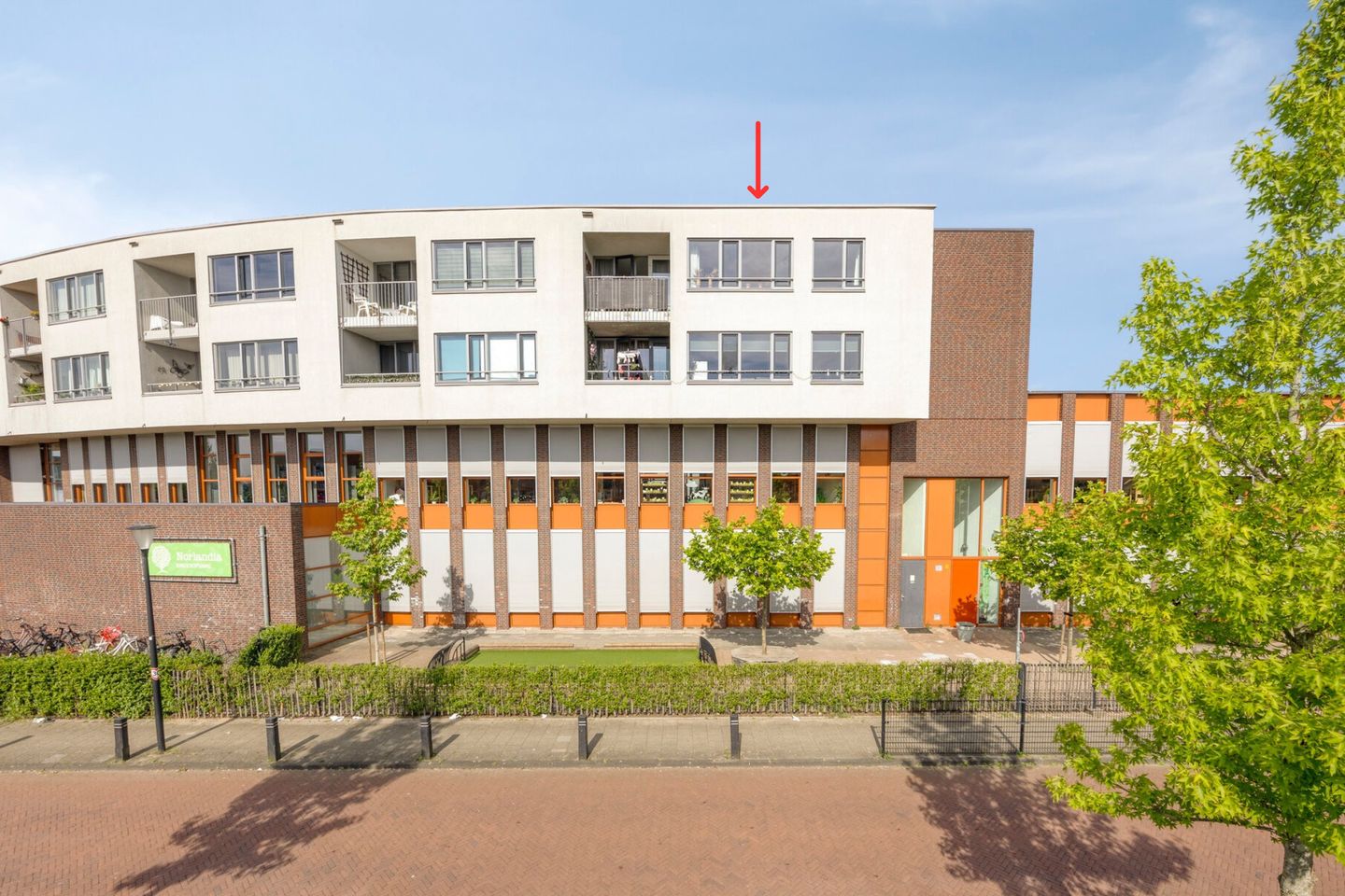 Photo 4 of Iepenwede 44
