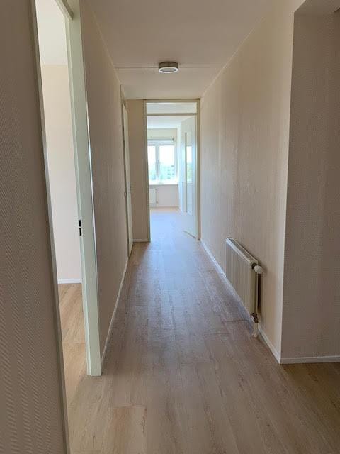 Foto 20 van Rijngraafstraat 90