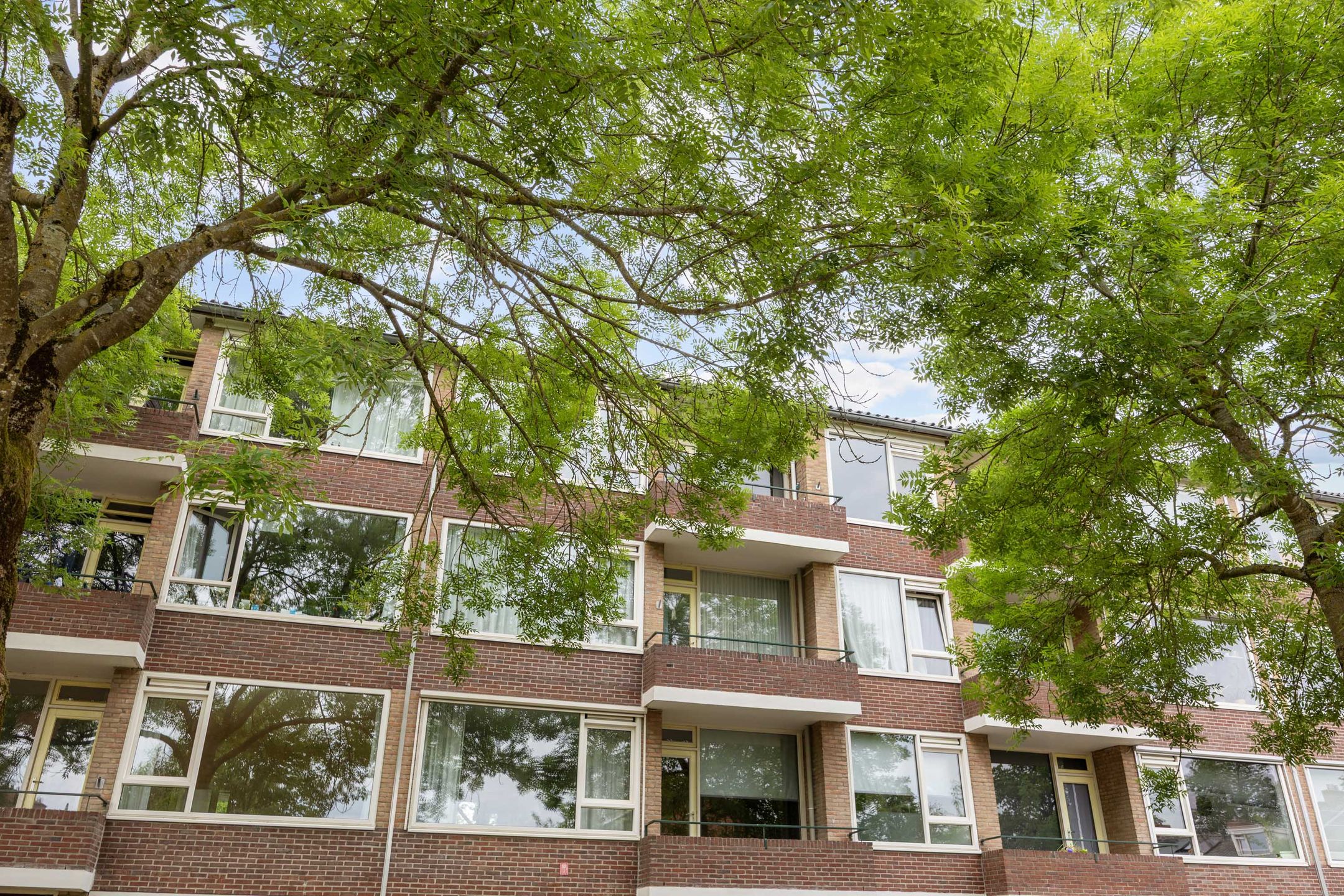 Duindoornstraat 33 