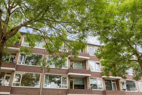 Duindoornstraat thumbnail