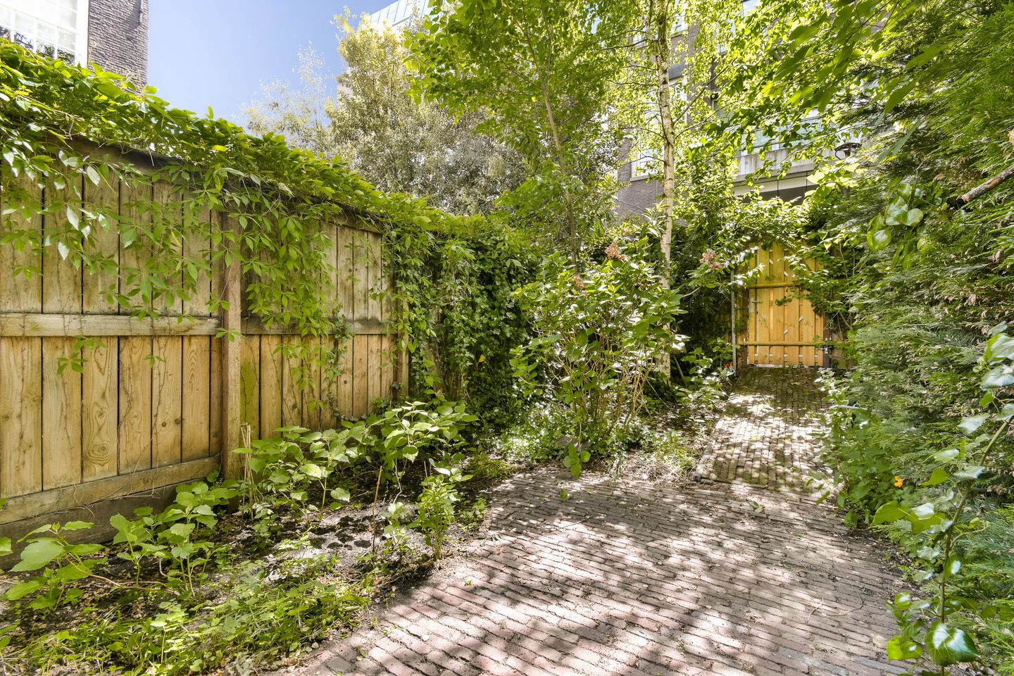 Photo 25 of Derde Weteringdwarsstraat 42