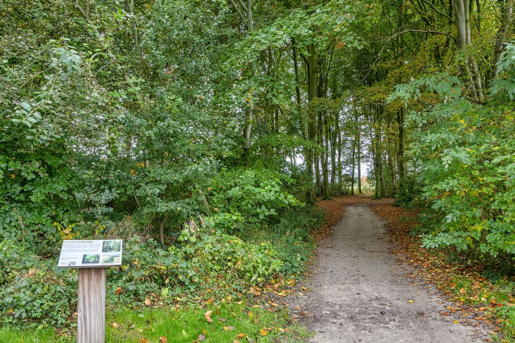 Photo 57 of De Helling 43