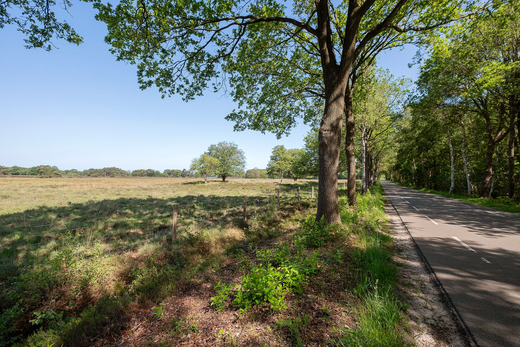 Foto 30 van Hendrik Reindersweg 28-33