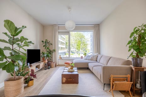 Wilhelminastraat thumbnail