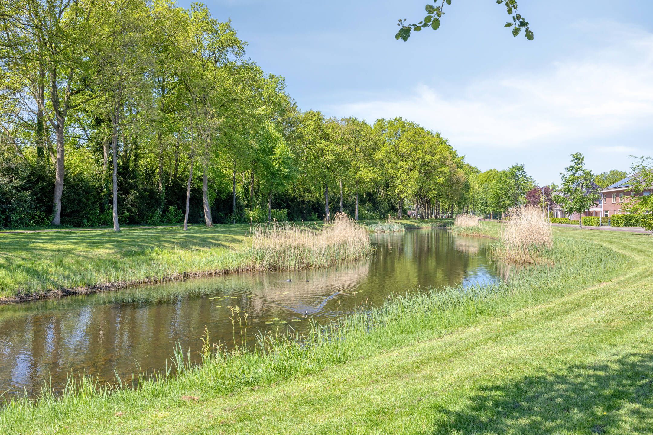 Foto 45 van Beukenlaan 6