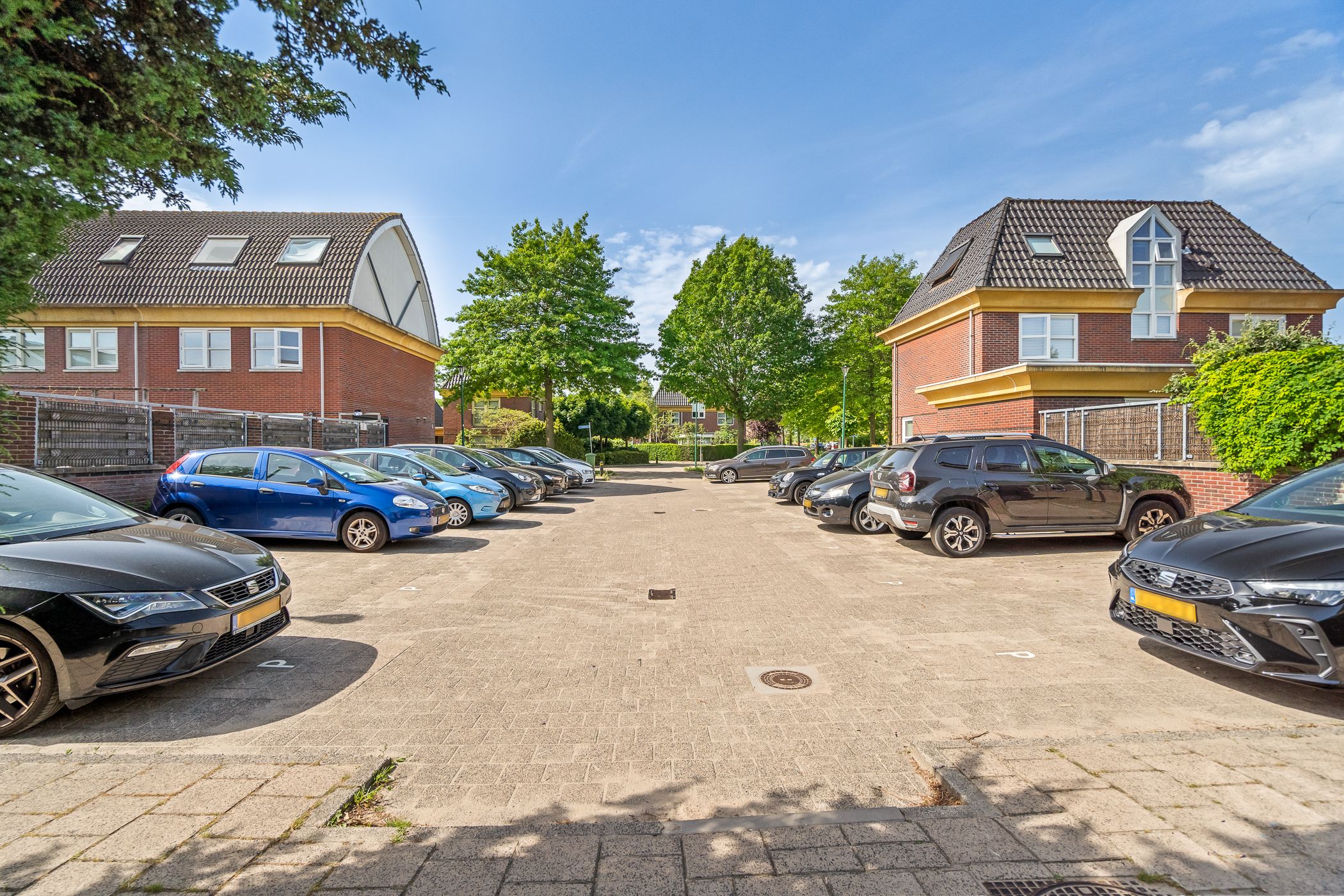 Foto 48 van Spanhout 2