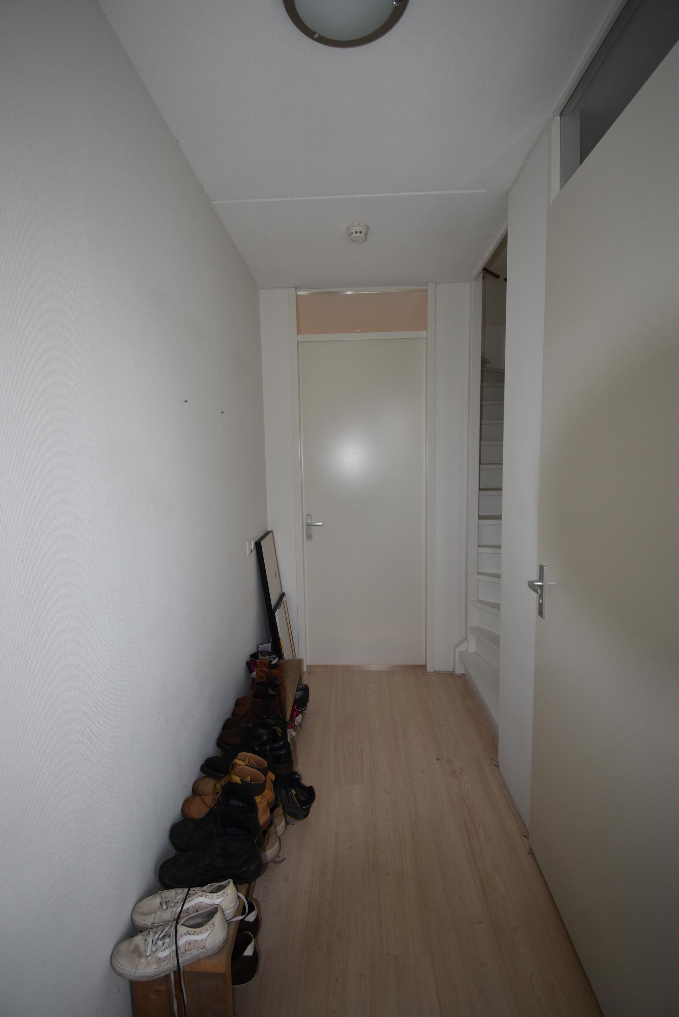Foto 3 van Aardbeivlinder 196