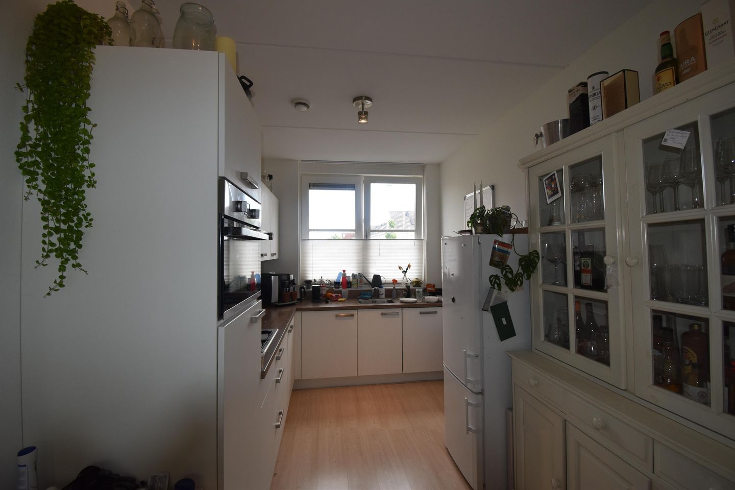 Foto 10 van Aardbeivlinder 196