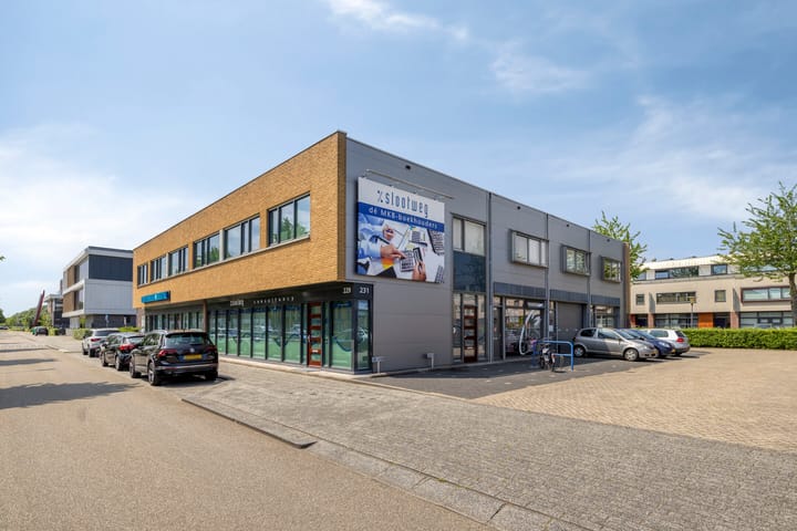 Willem Dreeslaan 245