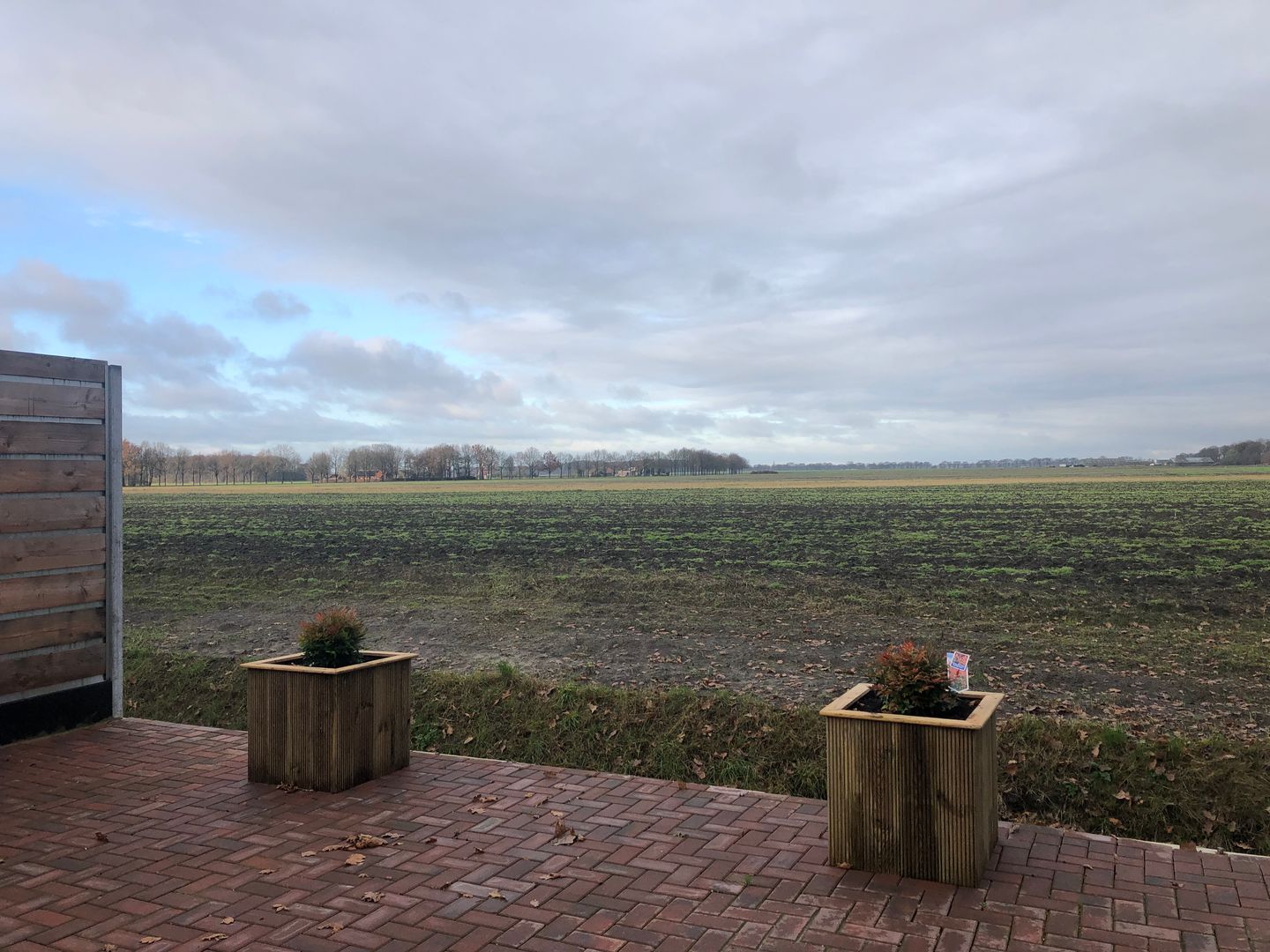 Foto 4 van Schoollaan 4