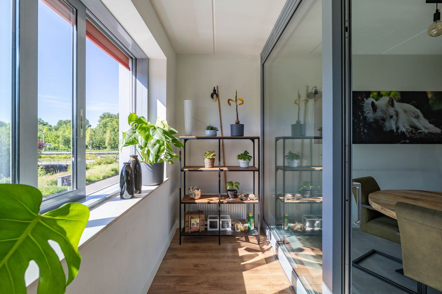 Foto 4 van Verlengde Lodewijkstraat 278