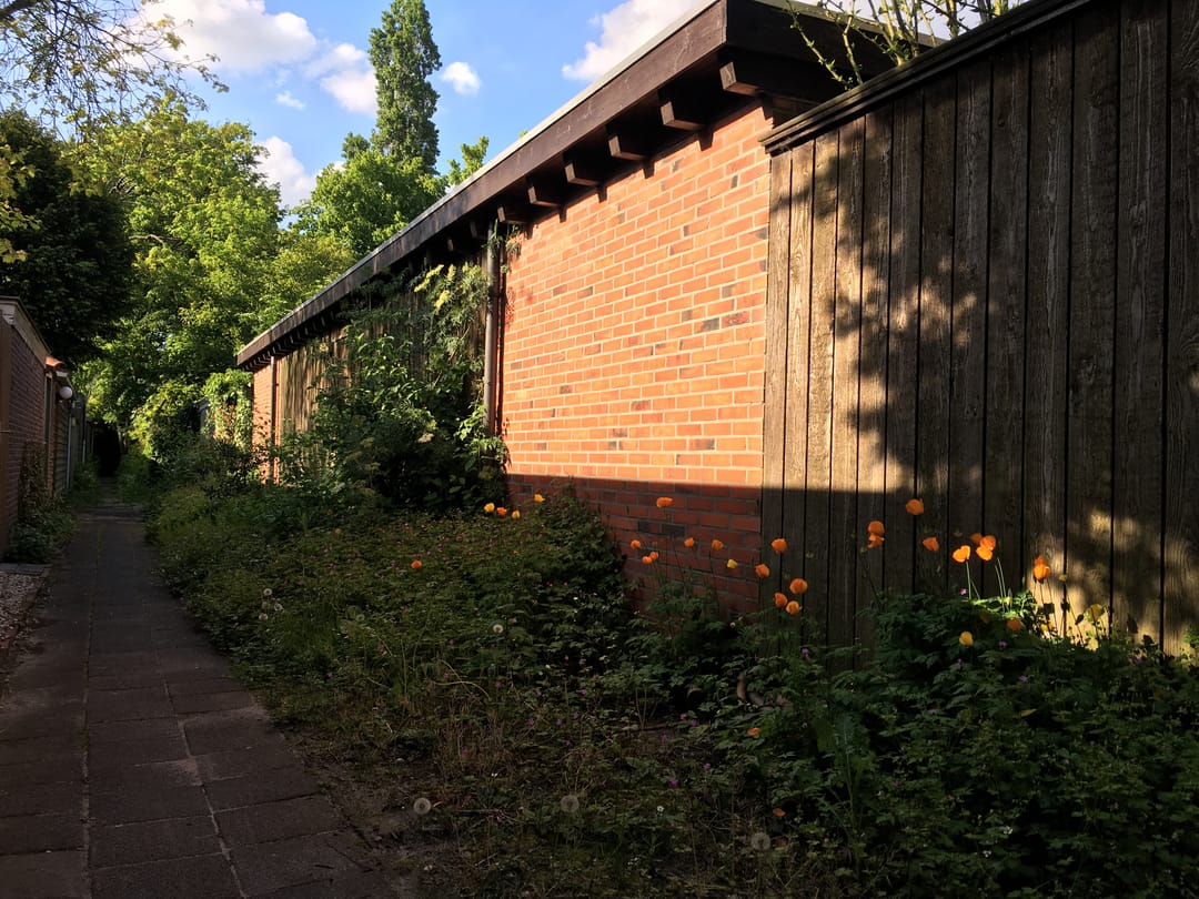 Photo 37 of Dr. D. Bosstraat 3-A
