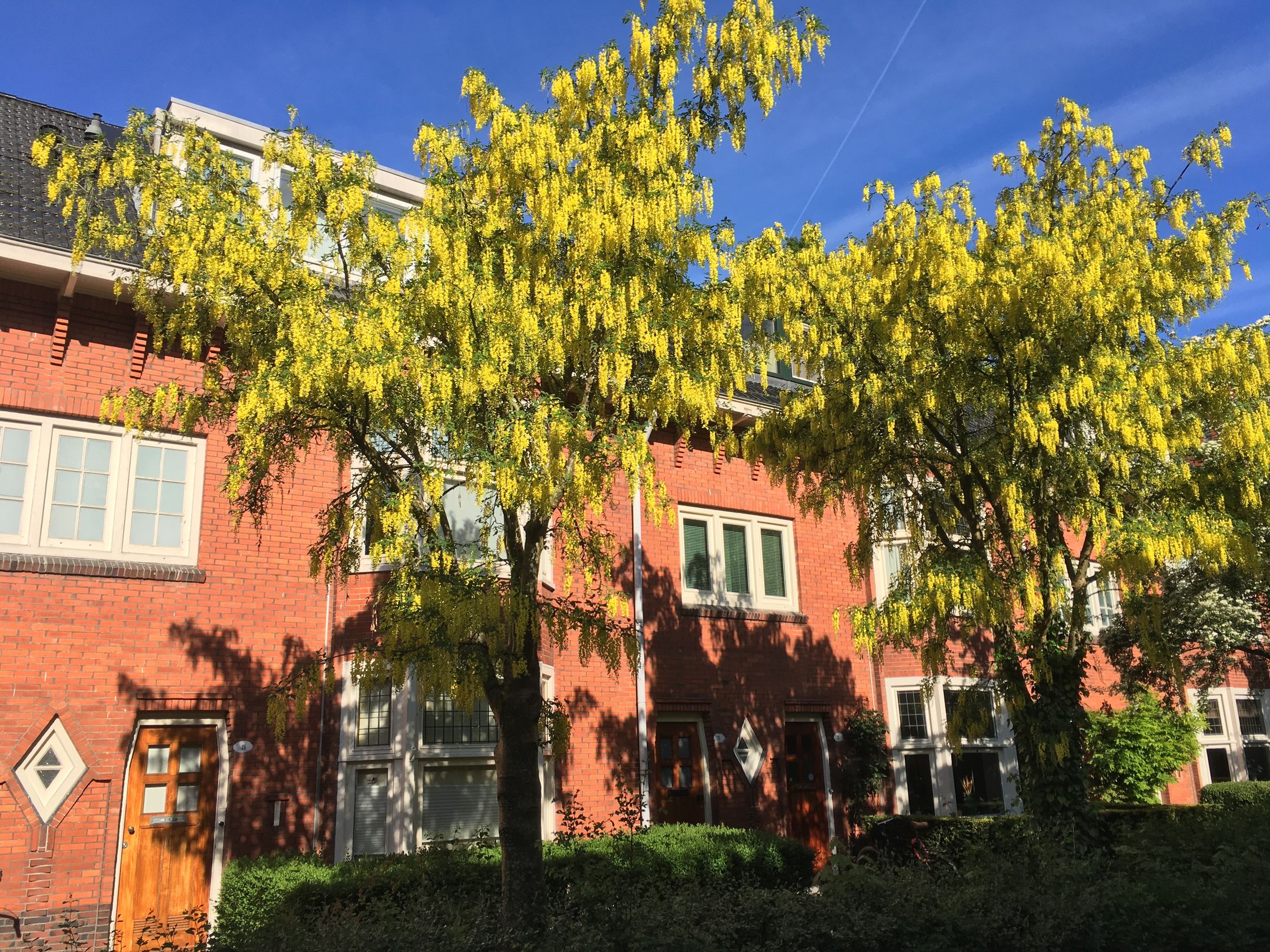 Photo 3 of Dr. D. Bosstraat 3-A