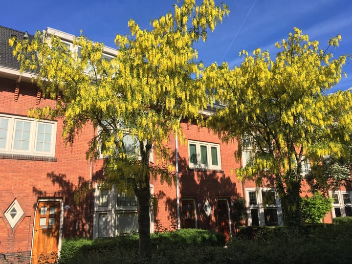 Photo 3 of Dr. D. Bosstraat 3-A