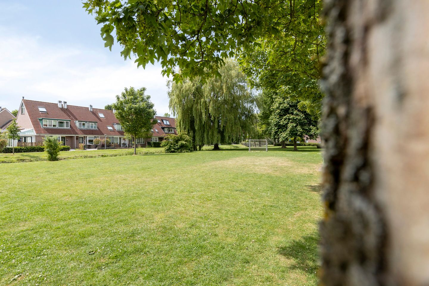 Photo 50 of Belthoeve 3
