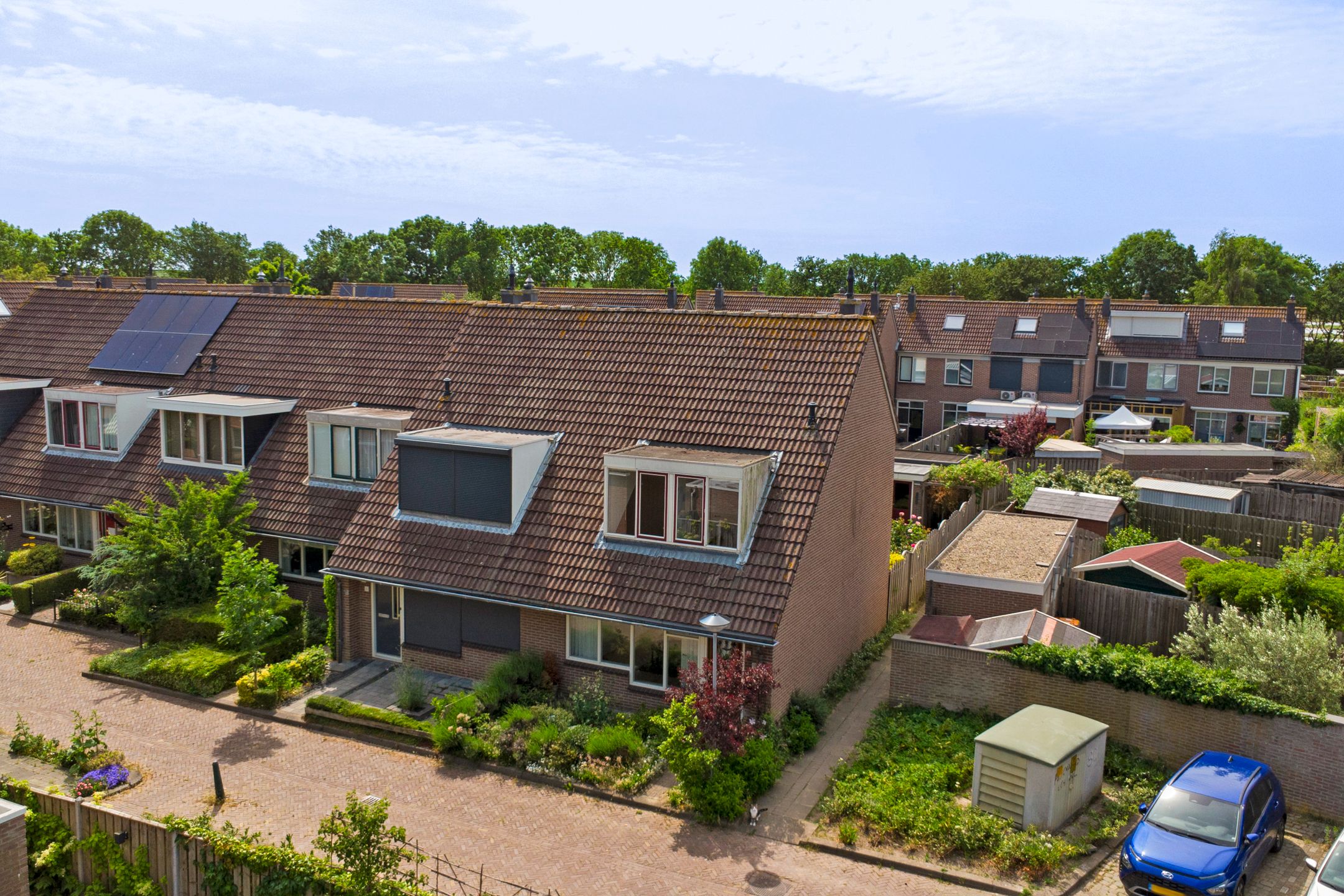 Photo 21 of Zeehondenplaat 2