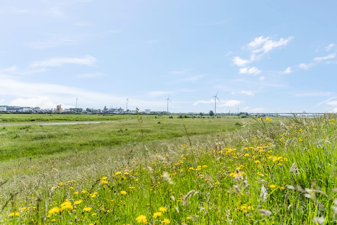 Renovated Dike Villa with Panoramic Rhine Views — 47