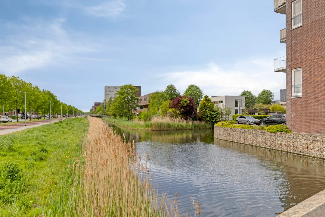 Photo 56 of Haringvliet 31
