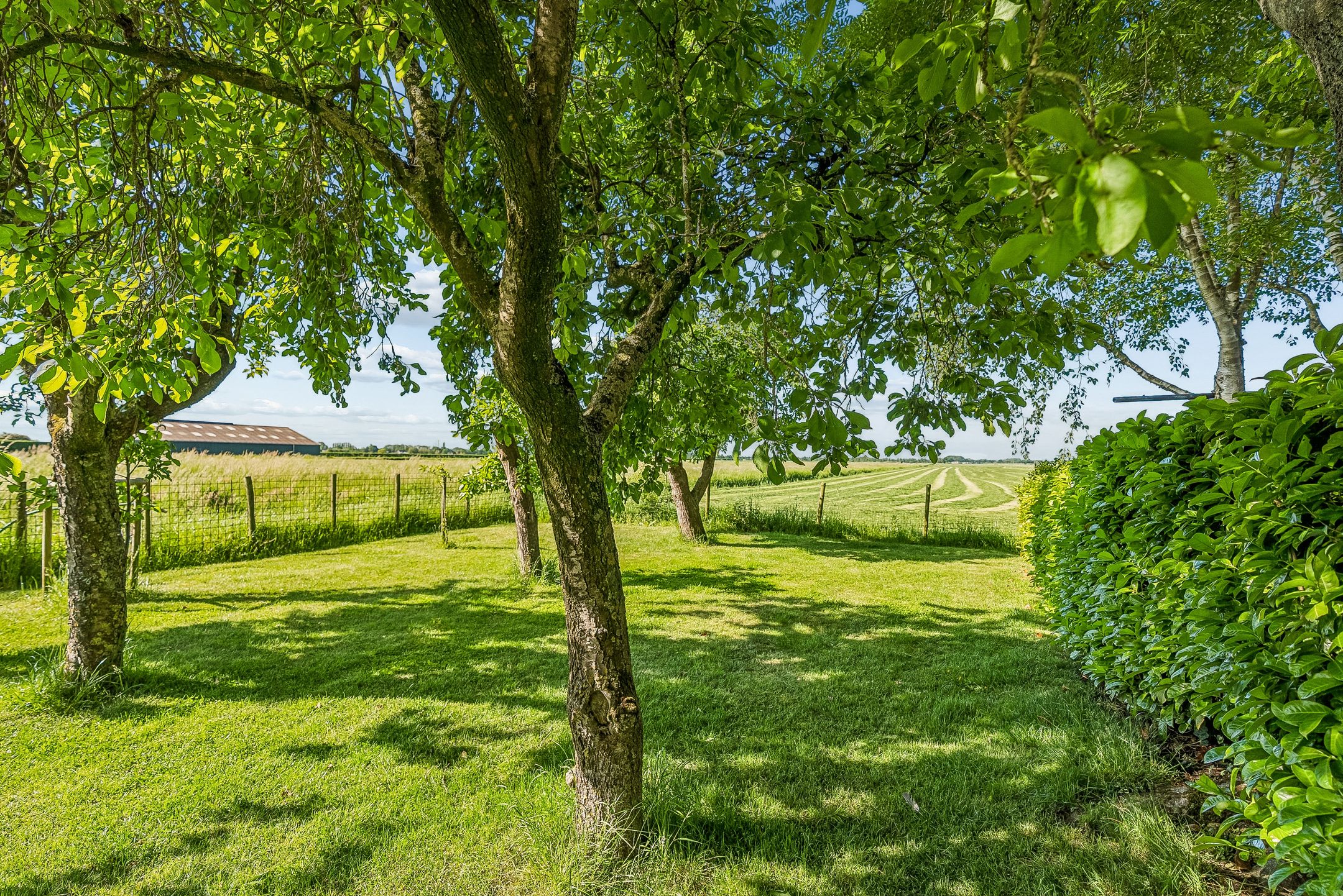 Detached Family Home with Large Garden and Rural Views in Schalkwijk — 57
