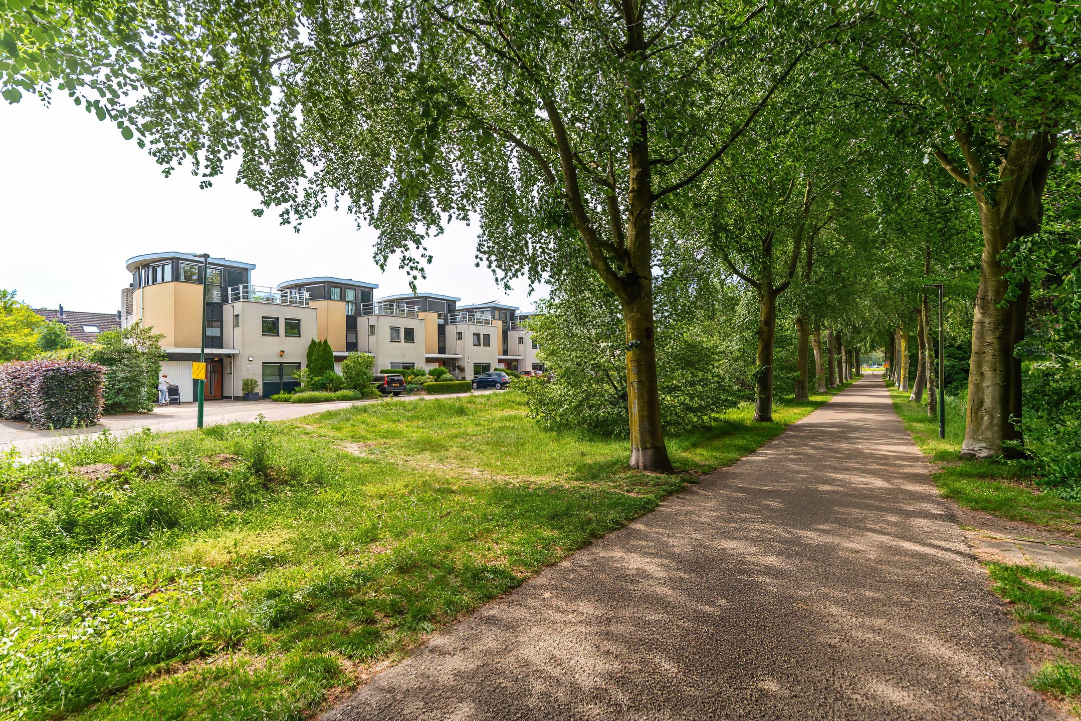 Aalscholver 115
