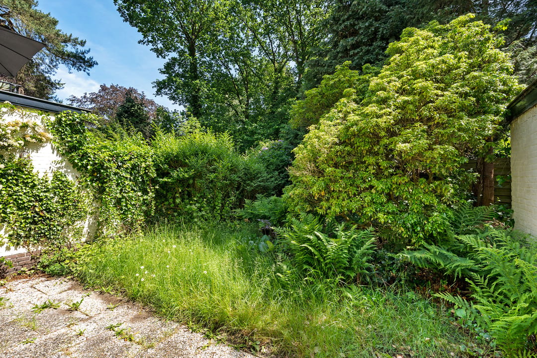 Photo 31 of Vossenlaan 35
