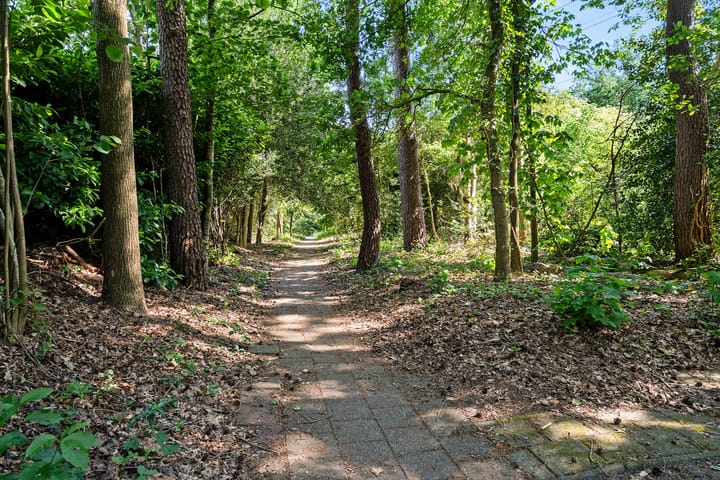 Photo 4 of Vossenlaan 35