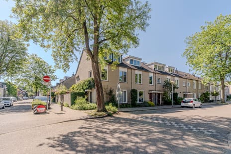 Palingstraat thumbnail